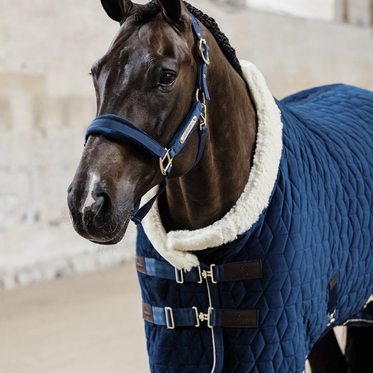Velvet Show Rug | Kentucky Horsewear - Active Equine