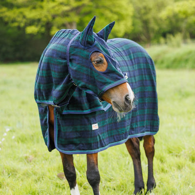 Wool Hood | Horse Rug | Active Equine - Active Equine