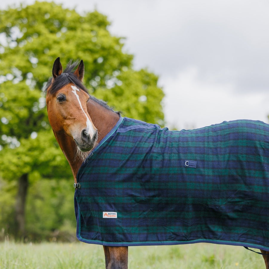 Wool Horse Rug | Active Equine - Active Equine