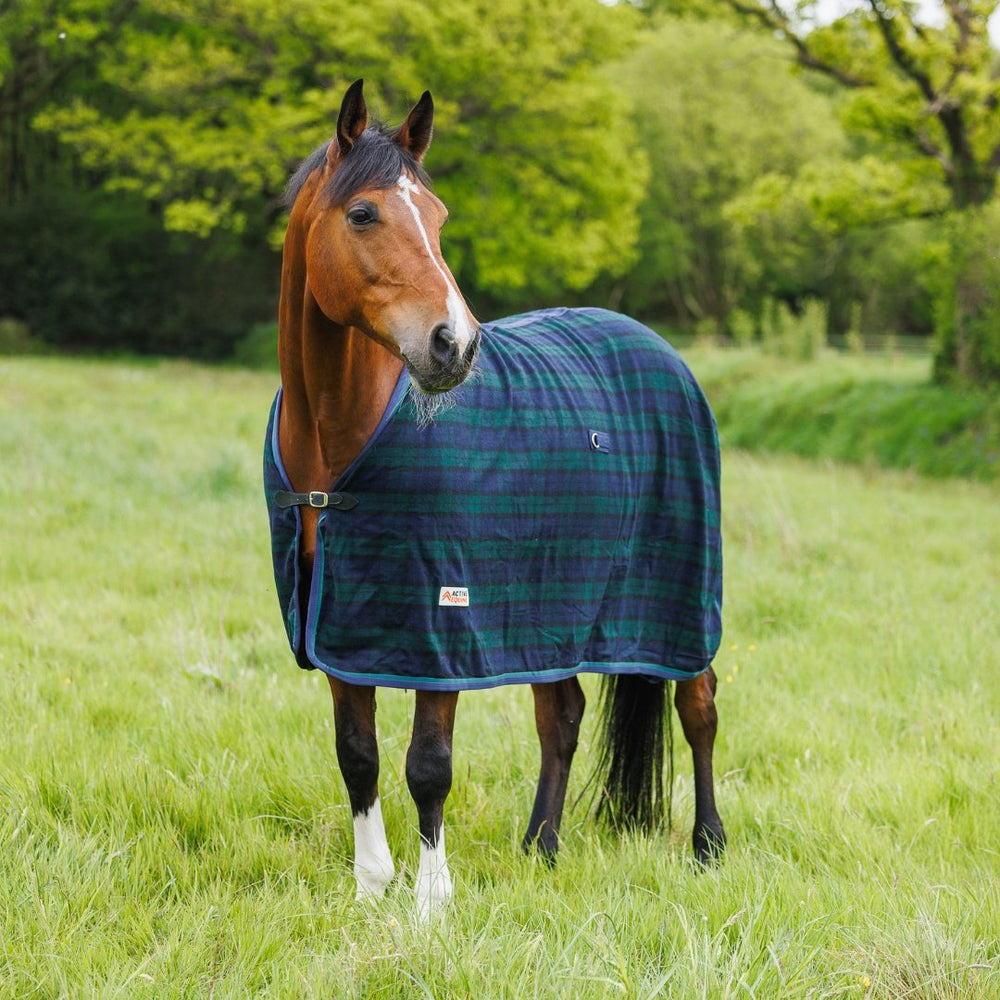 Wool Horse Rug | Active Equine - Active Equine